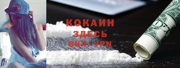 гидра Вязьма