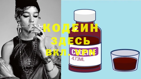гидра Вязьма