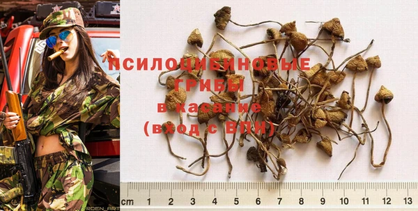МДПВ Вяземский