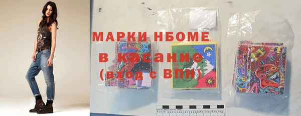 гидра Вязьма