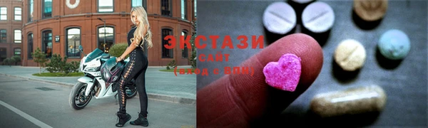 гидра Вязьма