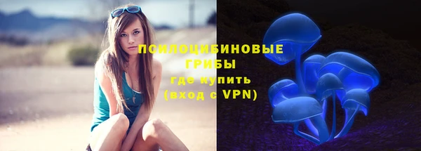 МДПВ Вяземский