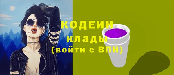 гидра Вязьма