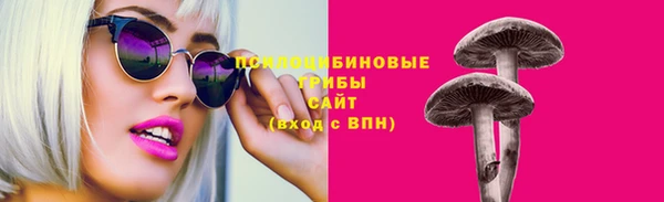 МДПВ Вяземский