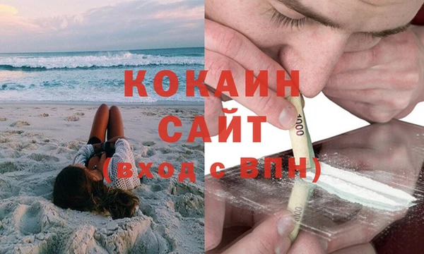 гидра Вязьма