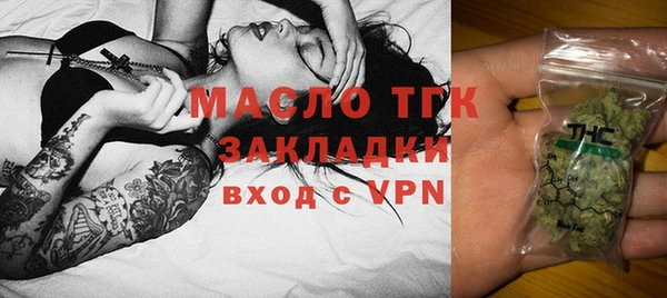 гидра Вязьма