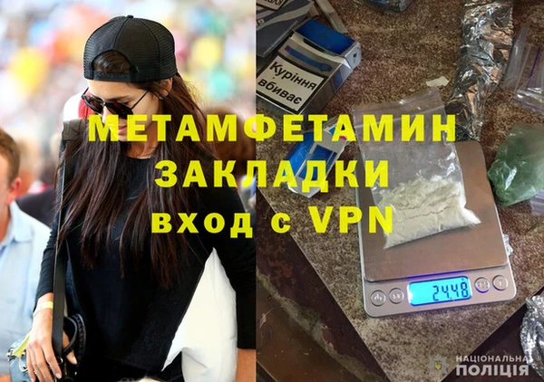 гидра Вязьма