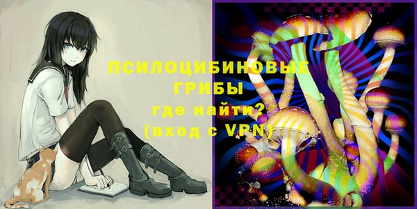 МДПВ Вяземский