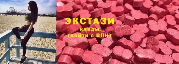 гидра Вязьма