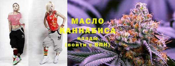 МДПВ Вяземский