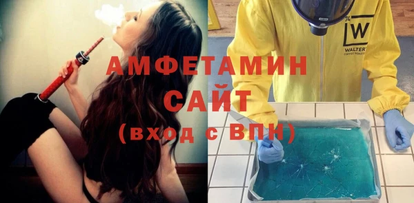 гидра Вязьма