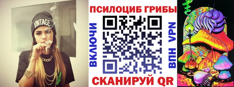 Галлюциногенные грибы прущие грибы  OMG   Чудово 